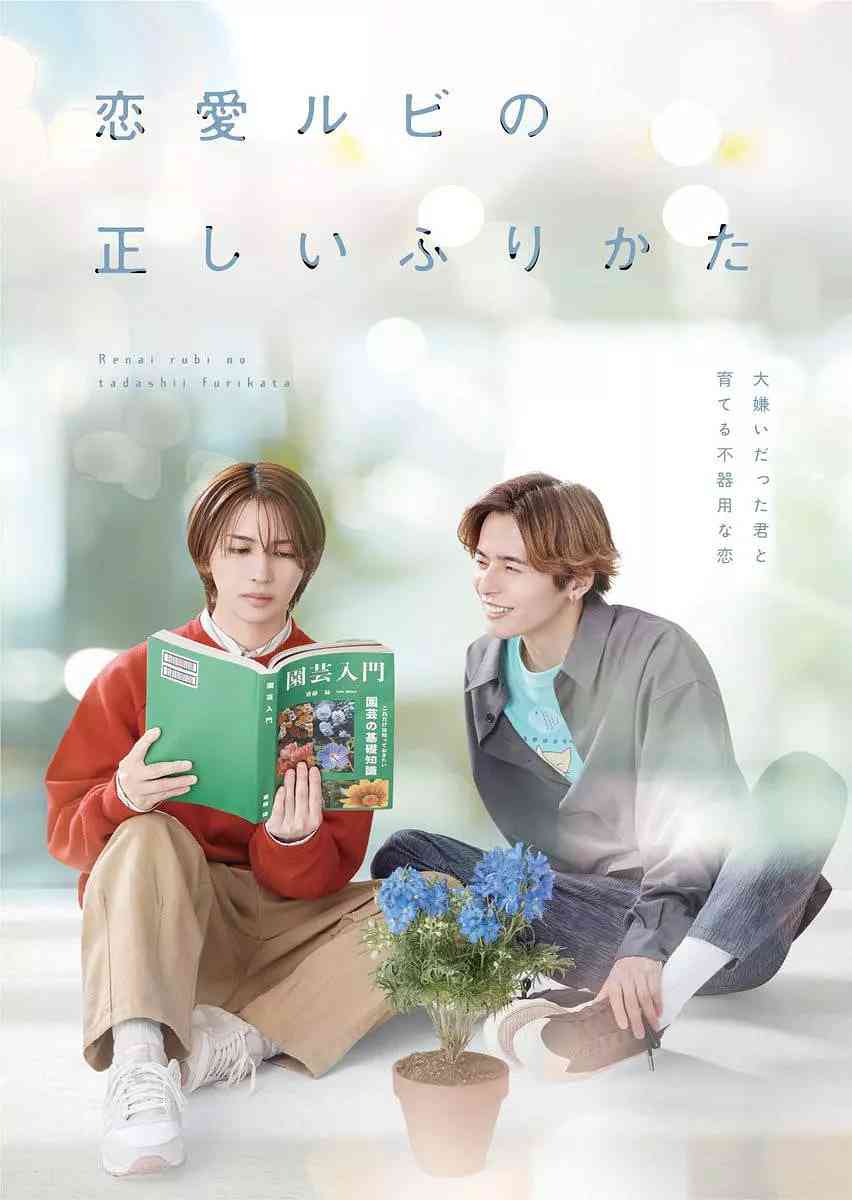 《恋爱的正确标记法》免费在线播放｜爱情,同性·日本