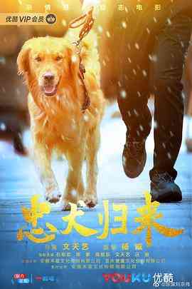 《忠犬归来》免费在线播放｜剧情·中国大陆