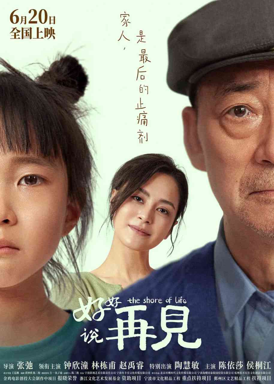 《好好说再见》免费在线播放｜家庭·中国大陆