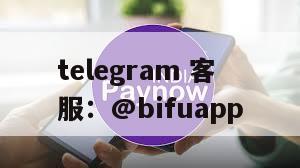 币付Pay：菲律宾第三方支付的新引擎，引领无现金社会变革